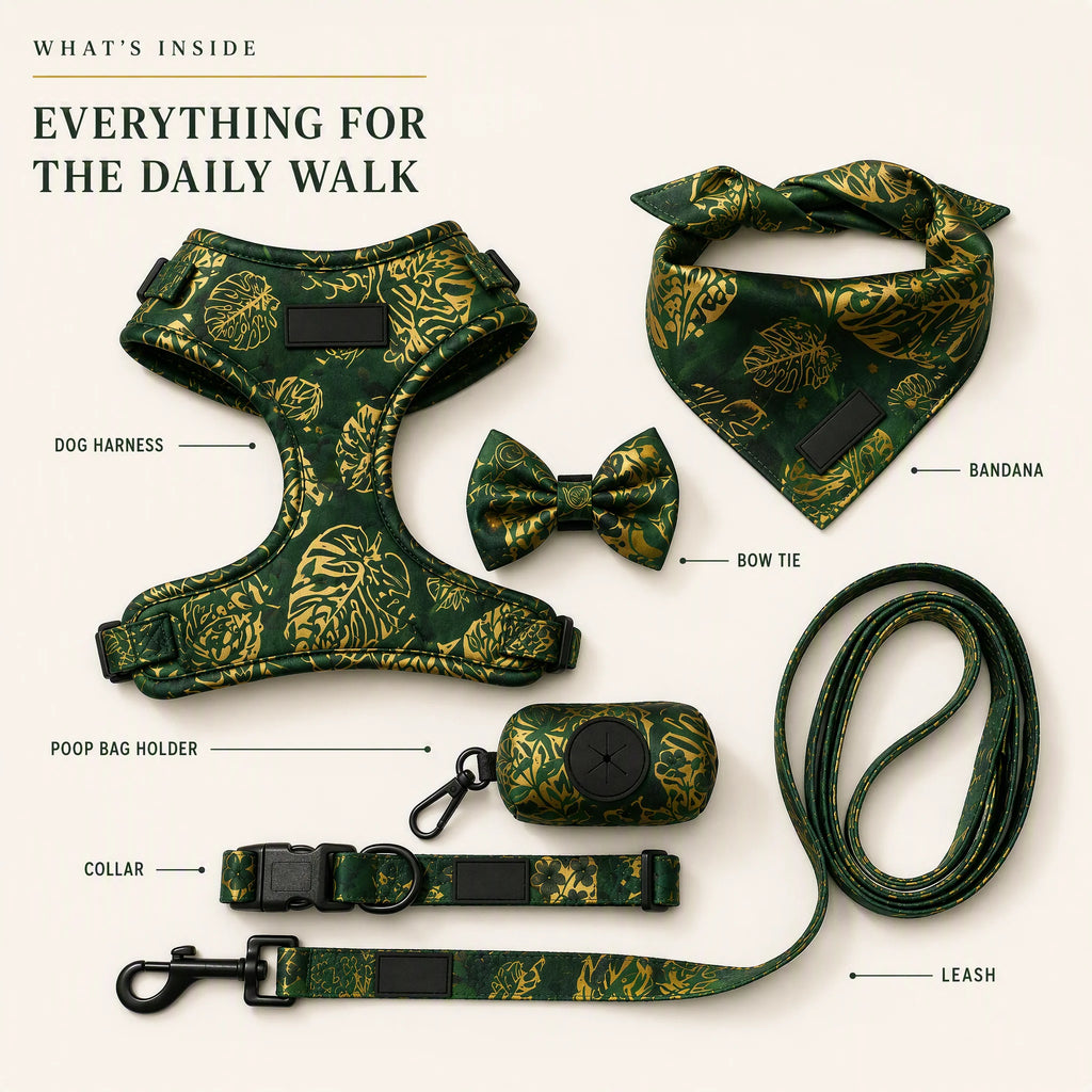 What's inside the dog walking kit - dog harness, bandana, bow tie, poop bag holder, collar and leash