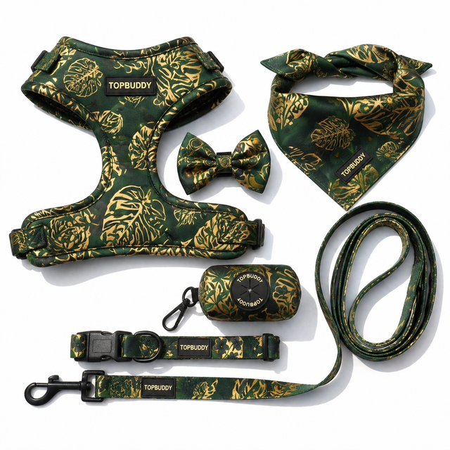 Custom Pet Gift Set | 6-Piece Dog Walking Kit